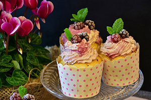 Decorated cupcakes with colourful frosting